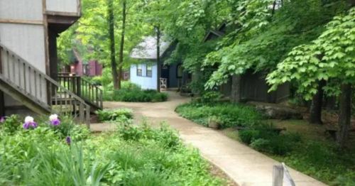 A serene pathway winds through lush greenery, flanked by rustic cabins and blooming flowers in a tranquil setting.