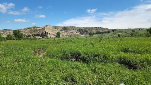 Lush green grass in the foreground with rolling hills and a blue sky in the background. Scenic landscape view.