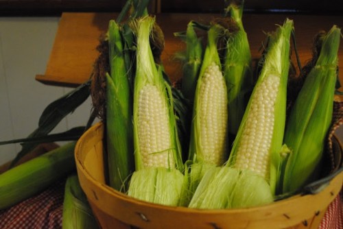 A basket filled with fresh corn on the cob, showcasing green husks and exposed kernels.