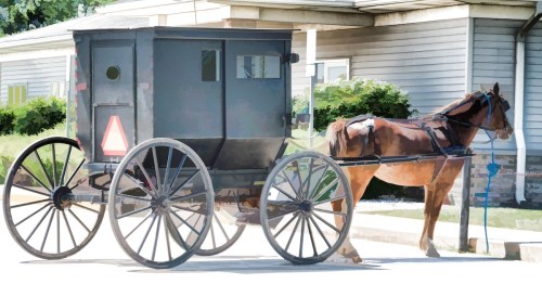 A horse-drawn carriage parked beside a house, with a black wooden body and large wooden wheels.