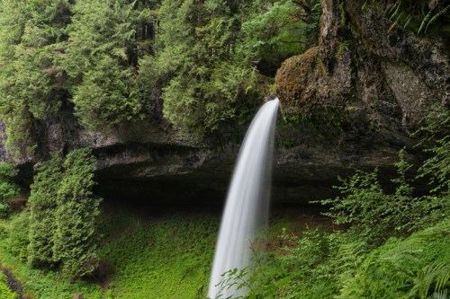 A serene waterfall cascades over a rocky ledge, surrounded by lush green foliage and moss-covered cliffs.