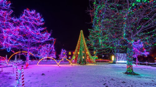 Colorful holiday lights illuminate trees and a decorated structure in a snowy landscape at night.