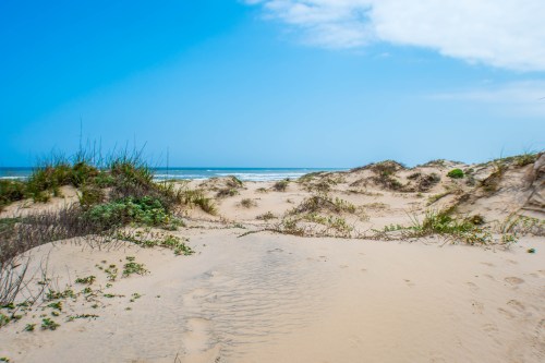 A sandy beach with dunes and sparse vegetation under a clear blue sky and gentle ocean waves in the background.