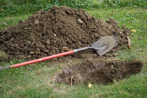 A shovel rests beside a pile of dirt next to a freshly dug hole in a grassy area.