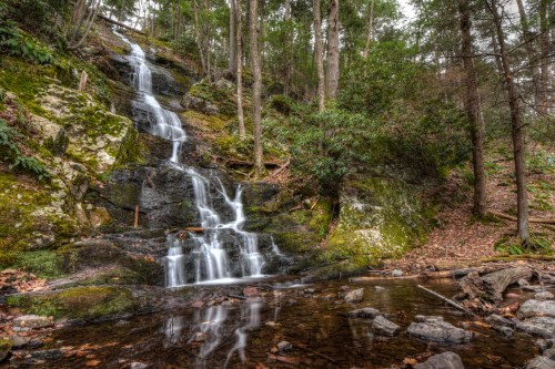 A serene waterfall cascades over moss-covered rocks, surrounded by lush greenery and fallen leaves in a tranquil forest setting.