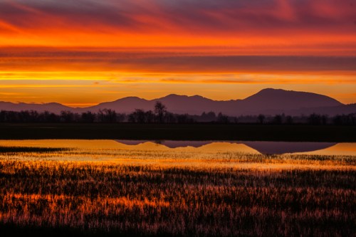 Vibrant sunset over a calm lake, reflecting mountains and colorful sky with silhouettes of grass in the foreground.