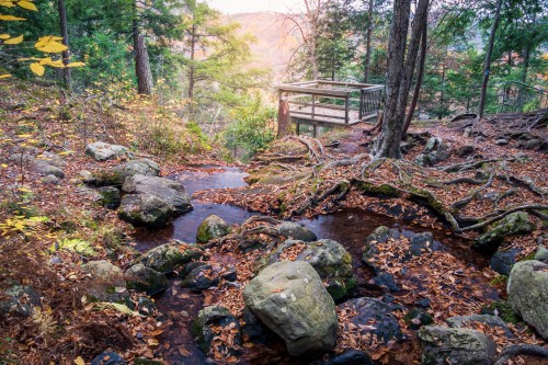 A serene forest scene with a stream, rocks, and autumn leaves, featuring a wooden observation deck in the background.