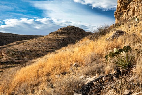 A rugged landscape with dry grass, rocky terrain, and a cactus under a blue sky with scattered clouds.