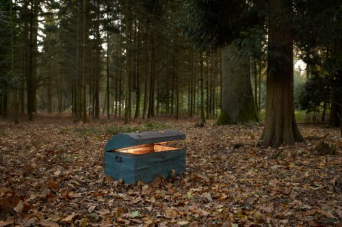 A weathered chest sits in a forest, partially open, surrounded by fallen leaves and tall trees. Soft light glows from inside.