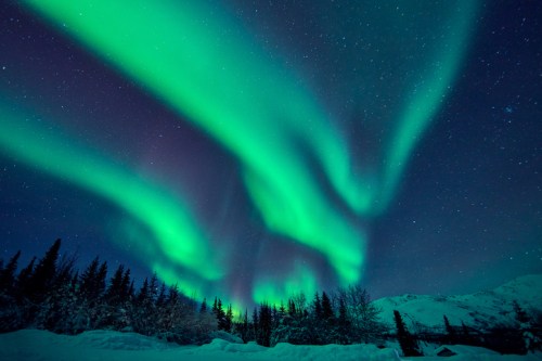 Vibrant green auroras dance across a starry night sky above a snowy landscape and dark silhouettes of trees.