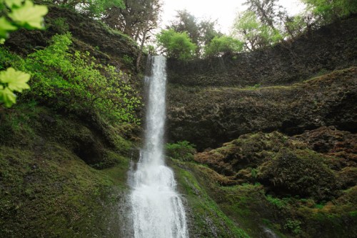 A cascading waterfall flows down a rocky cliff, surrounded by lush green foliage and trees.
