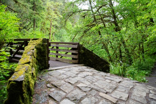 A wooden bridge covered in moss spans a rocky path through a lush, green forest.