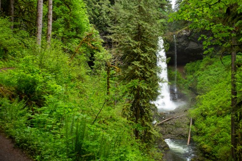 A lush green forest with a waterfall cascading down rocky terrain, surrounded by tall trees and vibrant foliage.