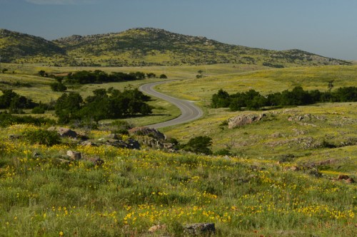 A winding road cuts through a lush green landscape dotted with wildflowers and rolling hills under a clear blue sky.