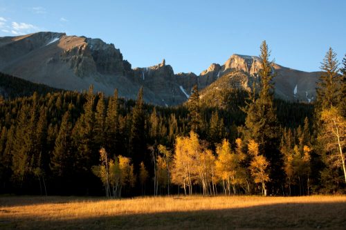 A scenic view of mountains with rocky peaks, surrounded by a forest of green and golden trees under a clear blue sky.