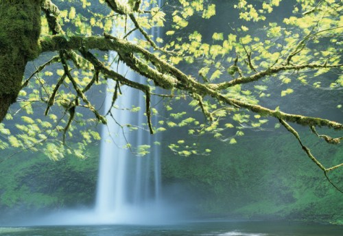 A serene waterfall cascades down a mossy cliff, surrounded by lush green foliage and mist.