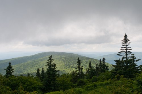 A lush green mountain landscape under a cloudy sky, with tall trees in the foreground and rolling hills in the background.