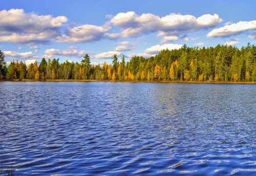 A serene lake surrounded by trees with autumn foliage under a blue sky with fluffy clouds.