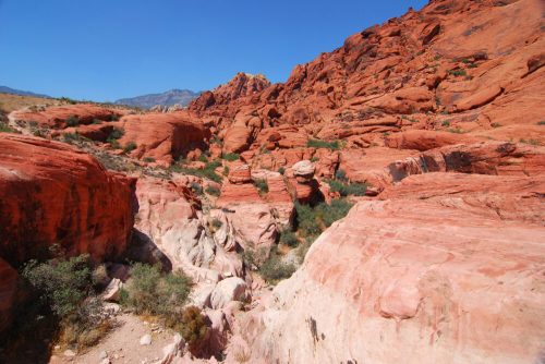 A vibrant landscape of red rock formations and canyons under a clear blue sky. Lush greenery peeks through the rocky terrain.