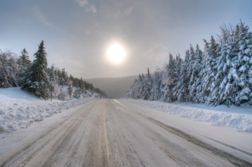 A snowy road lined with evergreen trees under a bright sun and cloudy sky.