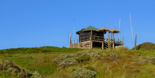 A wooden hut with a thatched roof sits on a grassy hill under a clear blue sky.