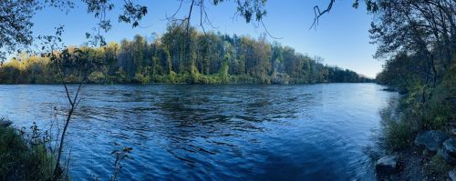 Panoramic view of a calm river bordered by lush trees under a clear blue sky.