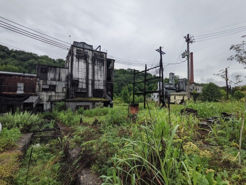 Abandoned industrial buildings surrounded by overgrown vegetation under a cloudy sky. Power lines in the background.