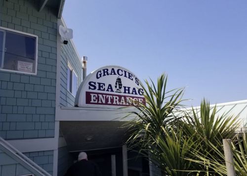 Sign for "Gracie's Sea Hag" with an entrance indication, surrounded by palm plants and a clear blue sky.