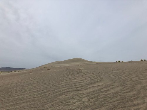 A vast sandy desert landscape with gentle dunes under a cloudy sky.