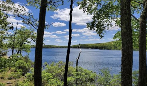 A serene lake surrounded by trees under a blue sky with fluffy clouds, creating a peaceful natural scene.