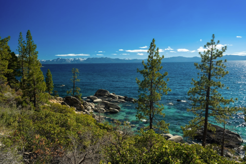 A serene lakeside view with clear blue water, rocky shores, and tall pine trees under a bright blue sky.