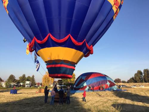 Colorful hot air balloons are being prepared for flight in a grassy field, with people gathered around.