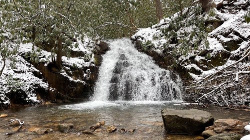 A serene waterfall cascades over rocks, surrounded by snow-dusted greenery in a tranquil forest setting.