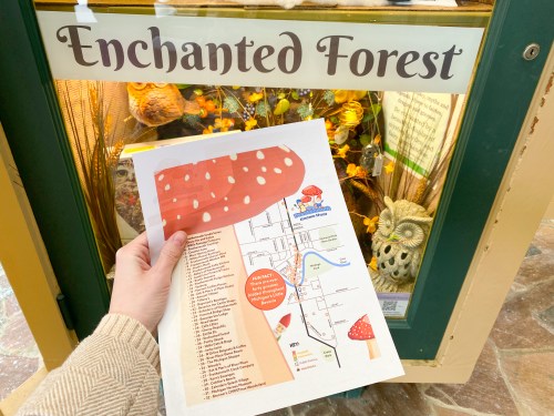 A hand holds a map in front of a display labeled "Enchanted Forest," featuring flowers and a whimsical design.