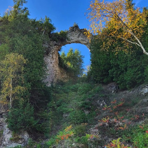 A natural rock arch surrounded by lush greenery and trees under a clear blue sky.