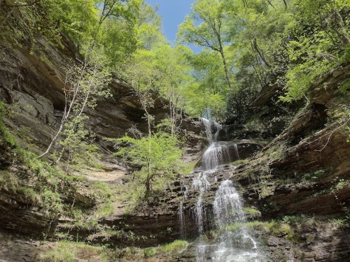 A serene waterfall cascading down rocky cliffs, surrounded by lush green trees under a clear blue sky.