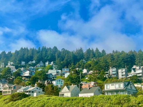 A hillside covered with various houses surrounded by lush greenery and trees under a blue sky with clouds.