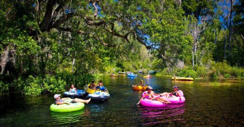 People floating on colorful inner tubes in a lush, green river surrounded by trees and clear water.