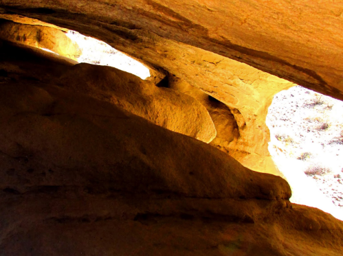 A view inside a cave with smooth, golden rock formations and light filtering through openings above.