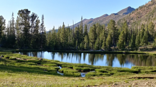 A serene landscape featuring a calm pond surrounded by lush greenery and mountains in the background under a clear blue sky.