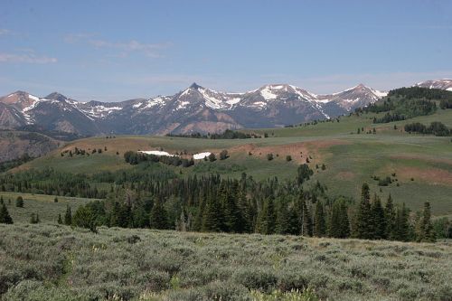 A scenic view of mountains with snow-capped peaks, green hills, and a foreground of sagebrush and trees under a clear sky.