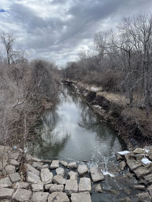 A calm river flows through a barren landscape, flanked by trees and rocky banks under a cloudy sky.