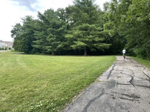 A person jogging on a path beside a grassy area and trees under a cloudy sky.