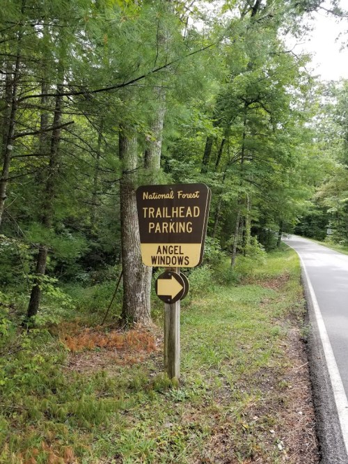 Sign for "Trailhead Parking" at Angel Windows in a national forest, surrounded by trees along a roadside.