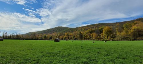 A vibrant green field with hay bales, surrounded by colorful autumn trees and rolling hills under a blue sky.