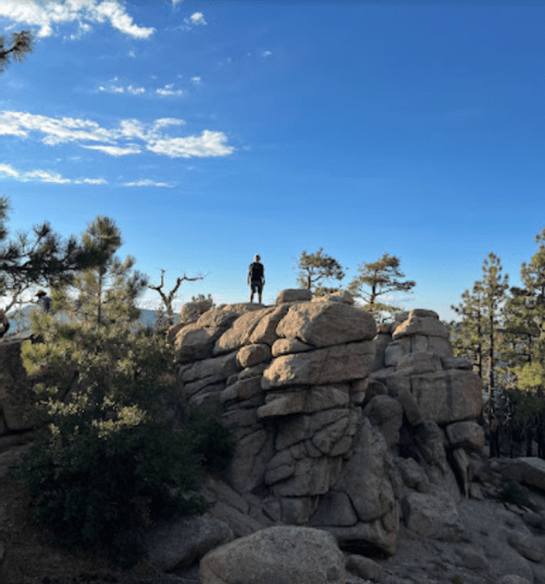 A person stands on a large rock formation surrounded by trees under a clear blue sky.