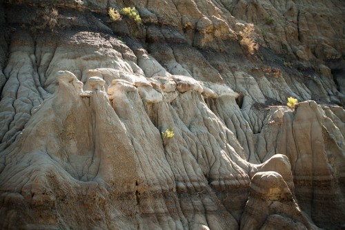 Rocky terrain with unique, eroded formations and sparse vegetation in a natural landscape.