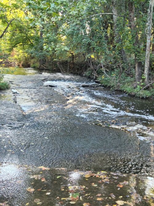 A serene stream flows over rocky terrain, surrounded by lush green trees and autumn leaves.