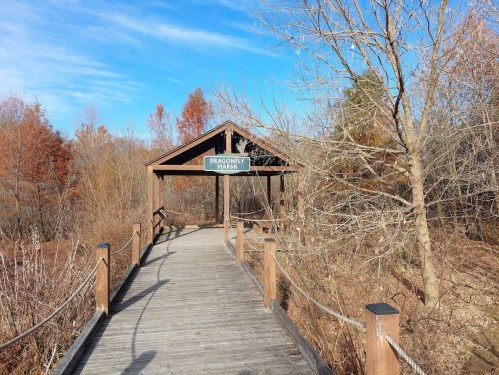 A wooden boardwalk leads to a gazebo with a sign reading "Dragonfly Marsh," surrounded by autumn foliage.
