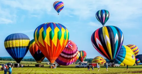Colorful hot air balloons ascend into a clear blue sky over a grassy field, with people gathered below.